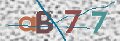 CAPTCHA Kép