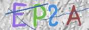 CAPTCHA Kép