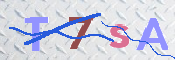 CAPTCHA Kép