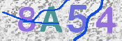 CAPTCHA Kép