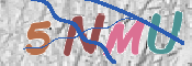 CAPTCHA Kép