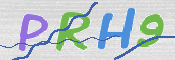 CAPTCHA Kép
