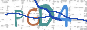 CAPTCHA Kép