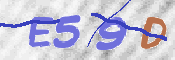 CAPTCHA Kép