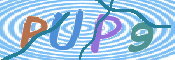 CAPTCHA Kép