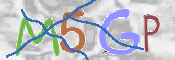 CAPTCHA Kép