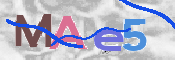 CAPTCHA Kép