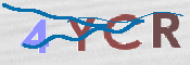 CAPTCHA Kép